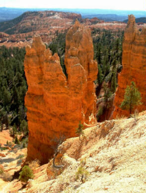 View from the Rim Trail