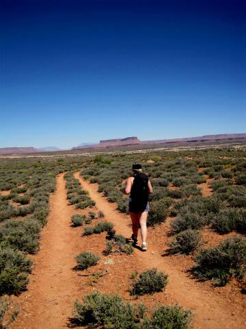 Grand Gulch Government Trail