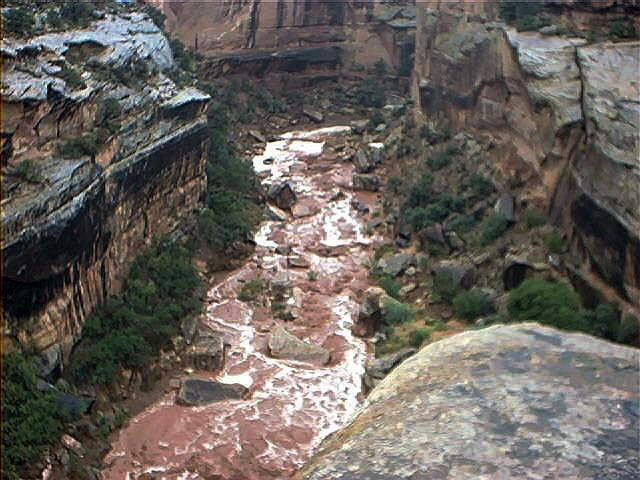 A flash flood roars through White Canyon - Photo by Peter Jamieson.