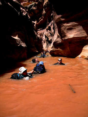 Swimming through the canyon.