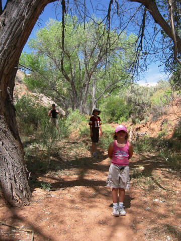 The trail to Fishmouth Cave.