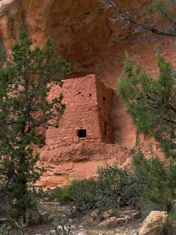 Tower House Ruins