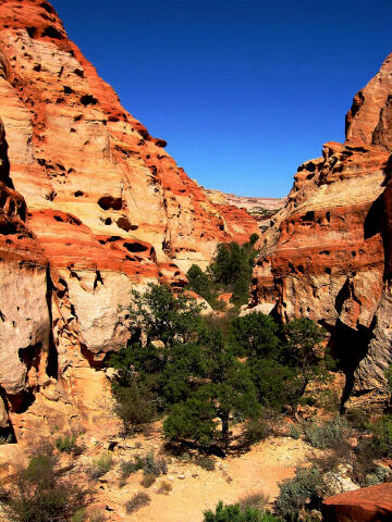 Frying Pan Trail - Capitol Reef National Park