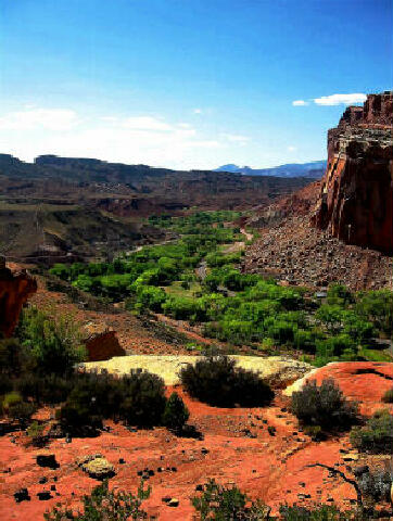 Frying Pan Trail - Capitol Reef National Park