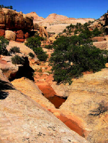 Frying Pan Trail - Capitol Reef National Park