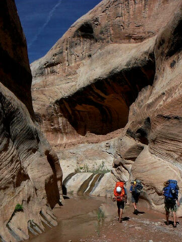 Halls Creek Narrows - Capitol Reef National Park