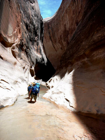 Halls Creek Narrows - Capitol Reef National Park