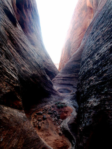 Happy Dog Canyon - Capitol Reef National Park