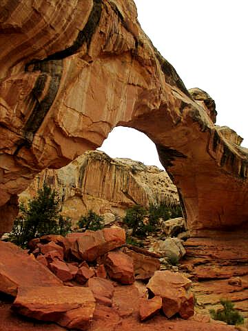 Hickman Bridge - Capitol Reef National Park