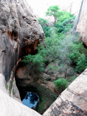 Poe Canyon - Capitol Reef National Park