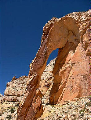 Elephant Arch!