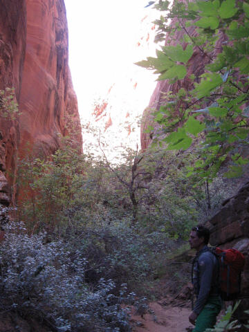 Spencer Canyon - Grand Staircase Escalante National Park