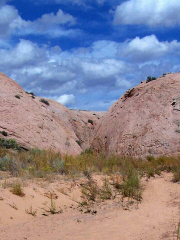 Zebra Canyon - Grand Staircase Escalante National Monument