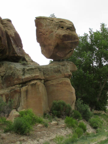 Pig Head Rock - Nine Mile Canyon