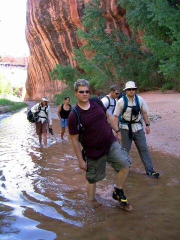 The gang hikingCourthouse Wash.