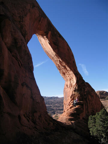 Funnel Arch