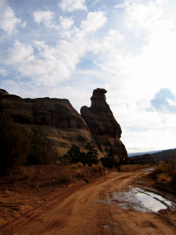 Gooney Bird Rock