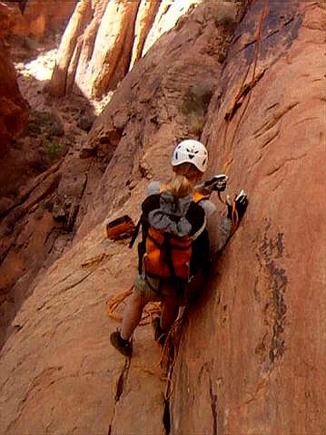 Lizard Country - Moab