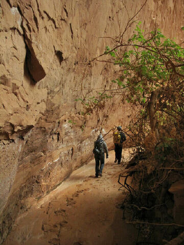 Hiking down MMI Canyon