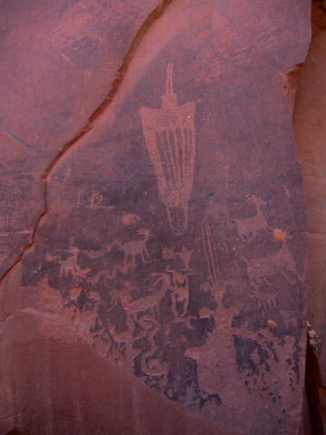 Moonflower Canyon Petroglyphs