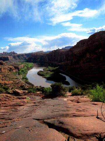 Moonflower Canyon - Moab