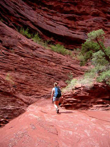 Hiking down Onion Creek