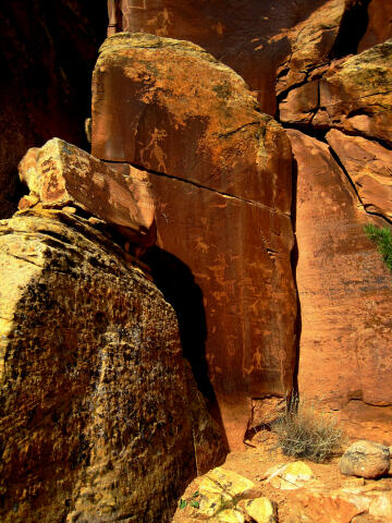 Shay Canyon Petroglyphs