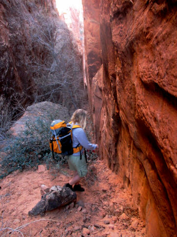 Upper Cut Canyon - Moab