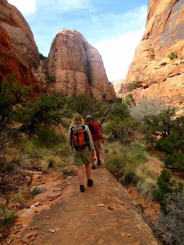 Upper Cut Canyon - Moab