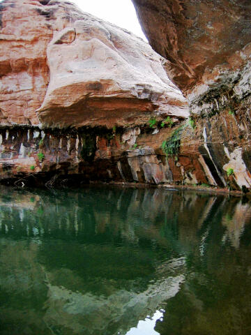 Waterfall and pool in Hog Springs