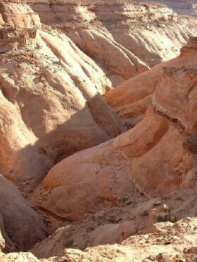 Shillelagh Canyon from the rim