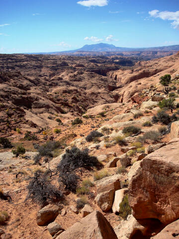 Upper Stair Canyon - North Wash