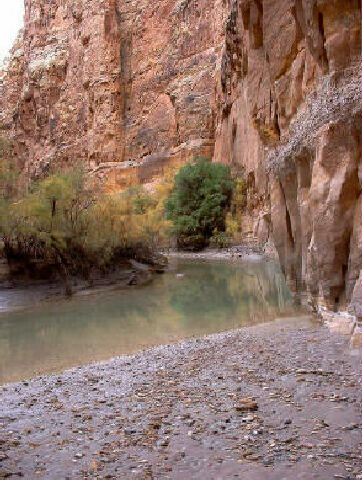 Muddy Creek is a very peaceful place to visit