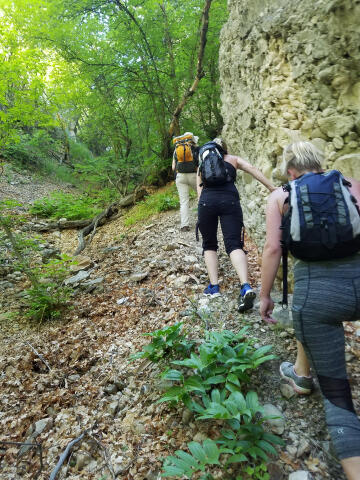 Crumbling Canyon - Wasatch Mountains