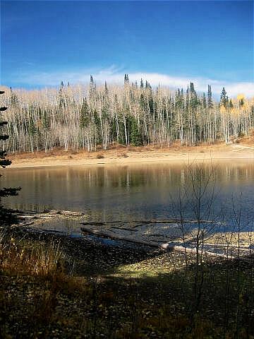 Dog Lake