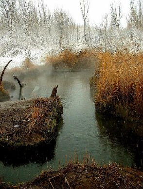 Stream rising on a winter day.