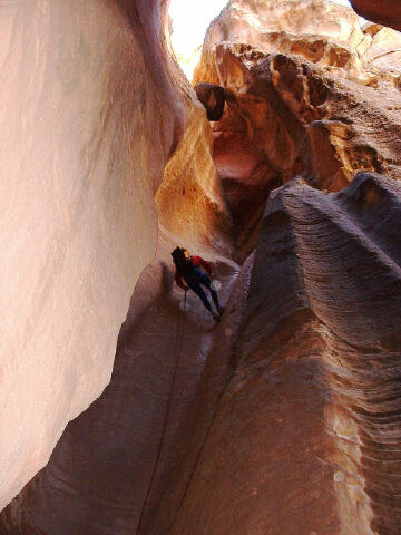 Rappeling in Birch Hollow