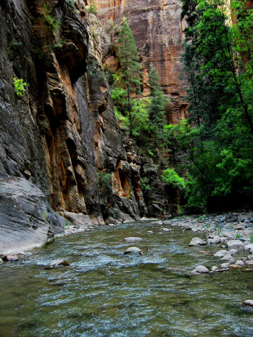 Deep Creek - Zion National Park