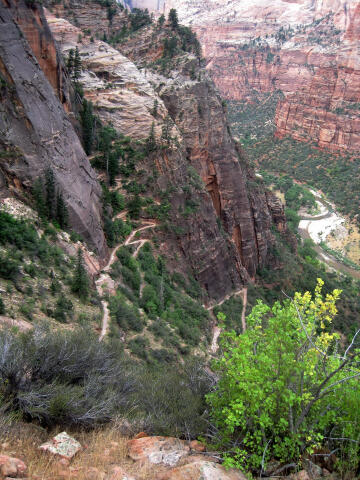 Observation Point - Zion National Park