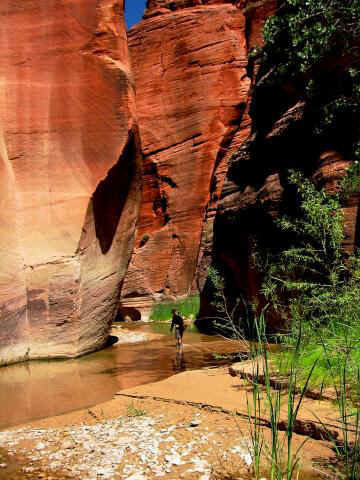 Parunuweap Canyon