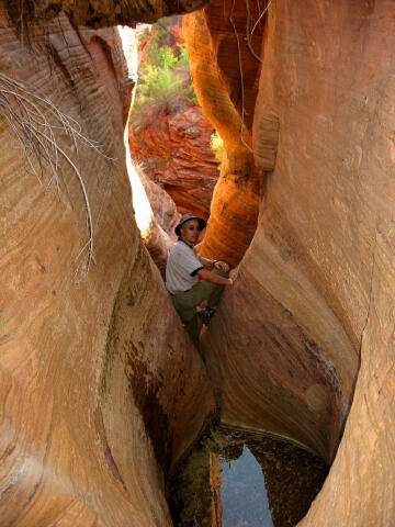 The amazing Tom Talboys examines the first obstacle.